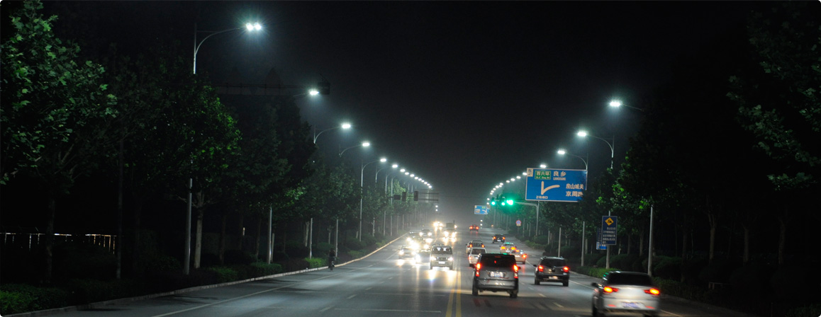 Dolphin led street light