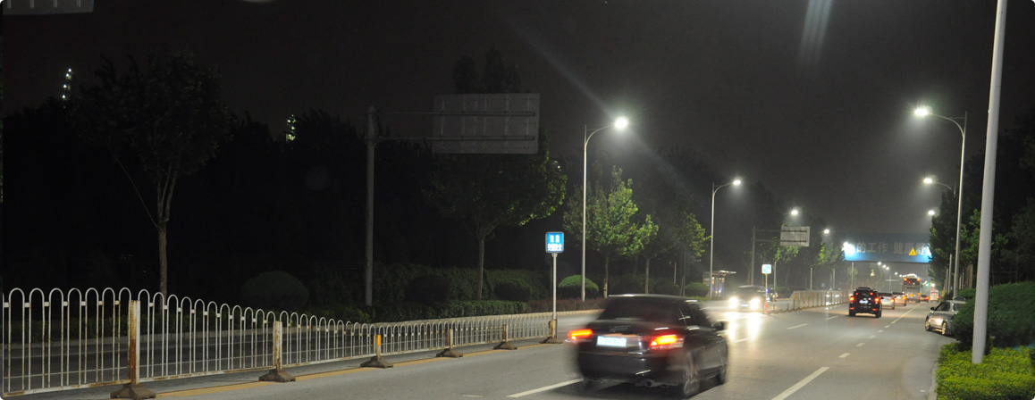 Dolphin led street light