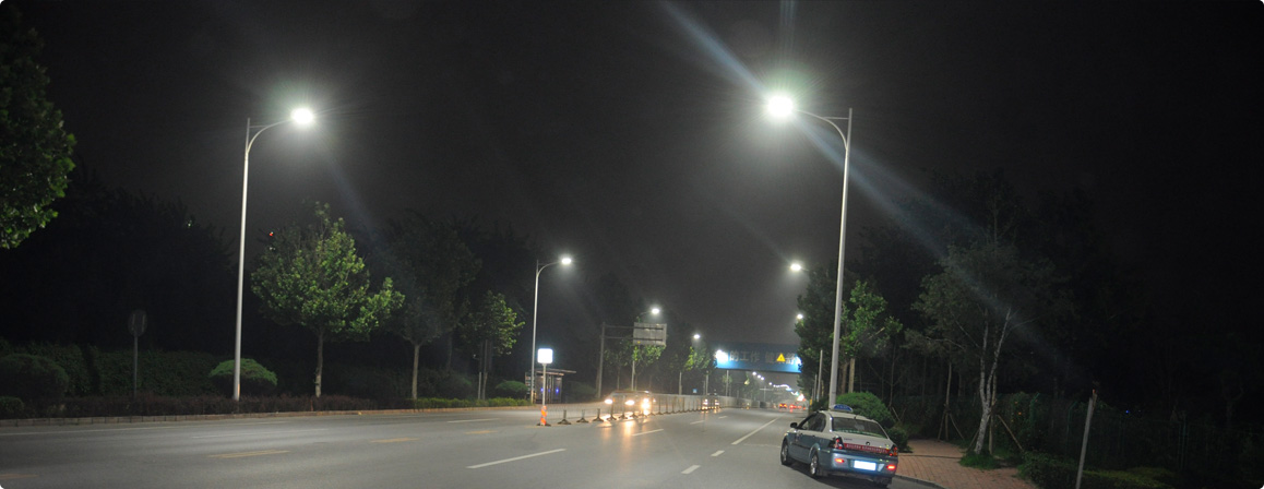 Dolphin led street light